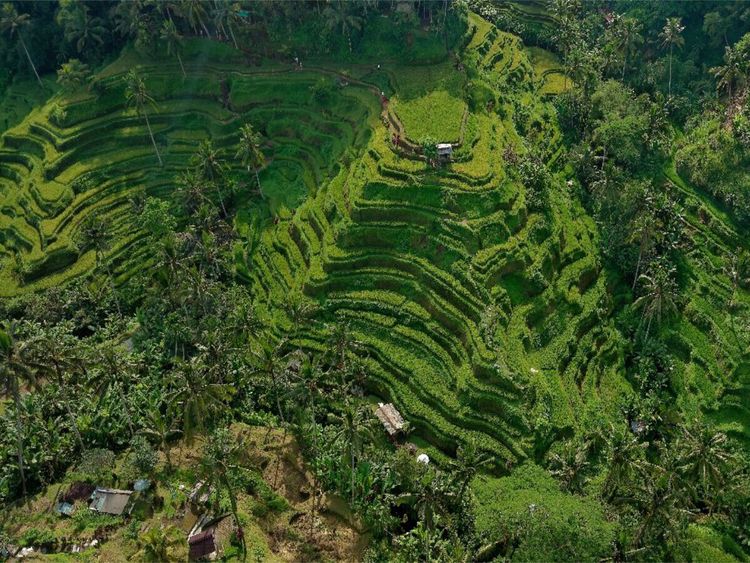 Produktbild: CALVENDO Puzzle neunziggrad I photoart: indonesien | 1000 Teile Lege-Gr&ouml;&szlig;e 64x48cm Foto-Puzzle f&uuml;r gl&uuml;ckliche Stunden