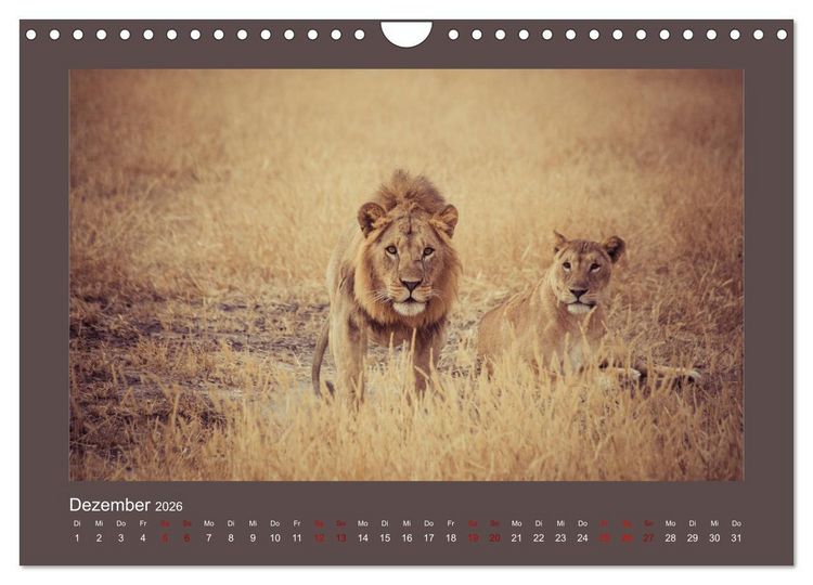 Produktbild: Tansania - Mensch, Tier und Landschaft (Wandkalender 2026 DIN A4 quer), CALVENDO Monatskalender