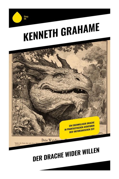 Produktbild: Der Drache wider Willen