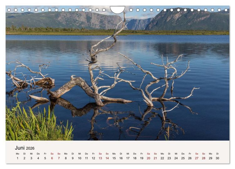 Produktbild: Neufundland Impressionen 2026 (Wandkalender 2026 DIN A4 quer), CALVENDO Monatskalender