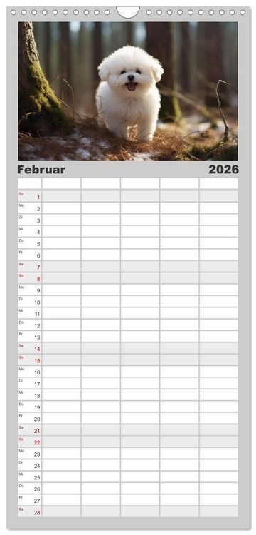 Produktbild: Familienplaner 2026 - Bichon fris&eacute;, wei&szlig;e H&uuml;ndchen mit lockigem Haar mit 5 Spalten (Wandkalender, 21 x 45 cm) CALVENDO