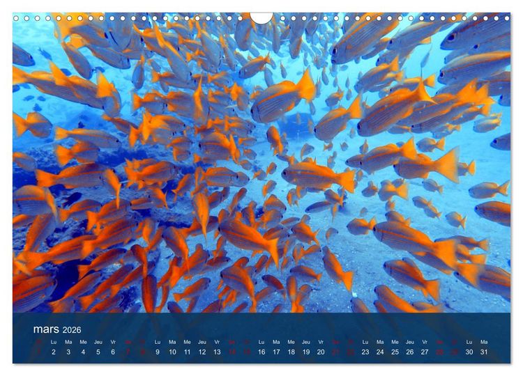 Produktbild: Autour de Nosy Be (Calendrier mural 2026 DIN A3 vertical), CALVENDO calendrier mensuel