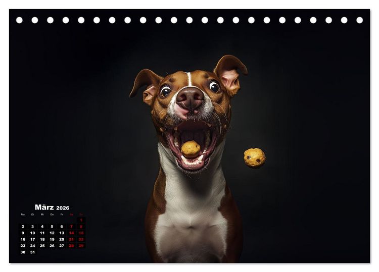 Produktbild: Leckerchen! (Tischkalender 2026 DIN A5 quer), CALVENDO Monatskalender