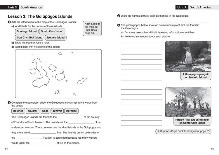Produktbild: Investigation - Workbook 3
