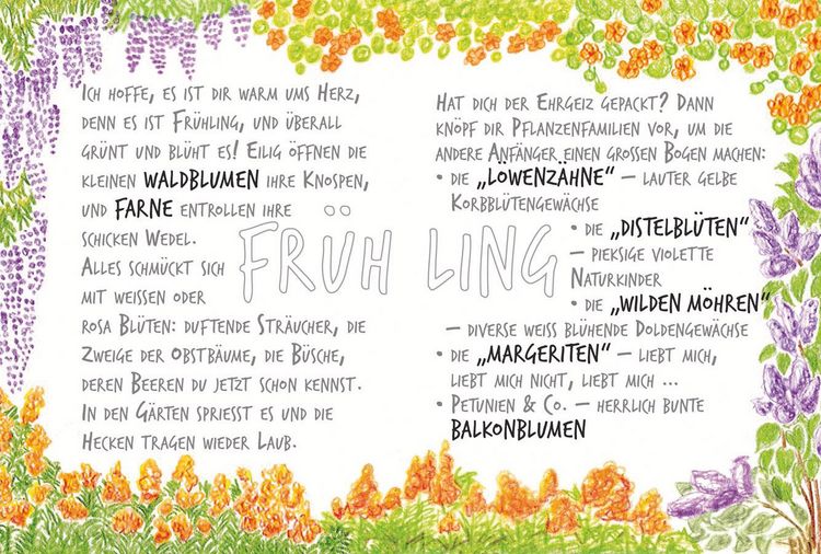Produktbild: Ich sehe was, was ich nicht kenn&acute;