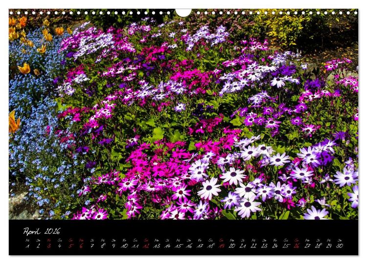 Produktbild: Butchart Gardens 2026 (Wandkalender 2026 DIN A3 quer), CALVENDO Monatskalender