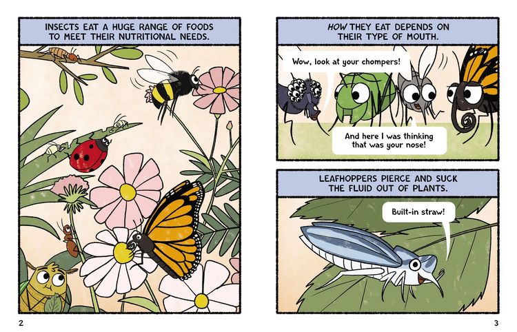 Produktbild: Burt the Beetle Chows Down!