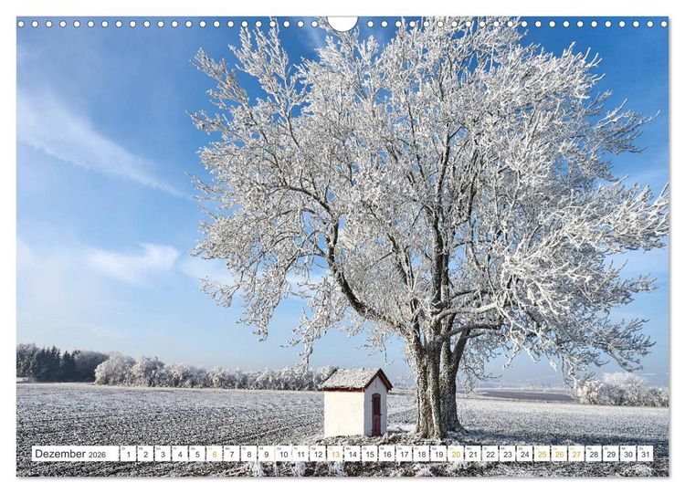 Produktbild: B&auml;ume im Altm&uuml;hltal (Wandkalender 2026 DIN A3 quer), CALVENDO Monatskalender
