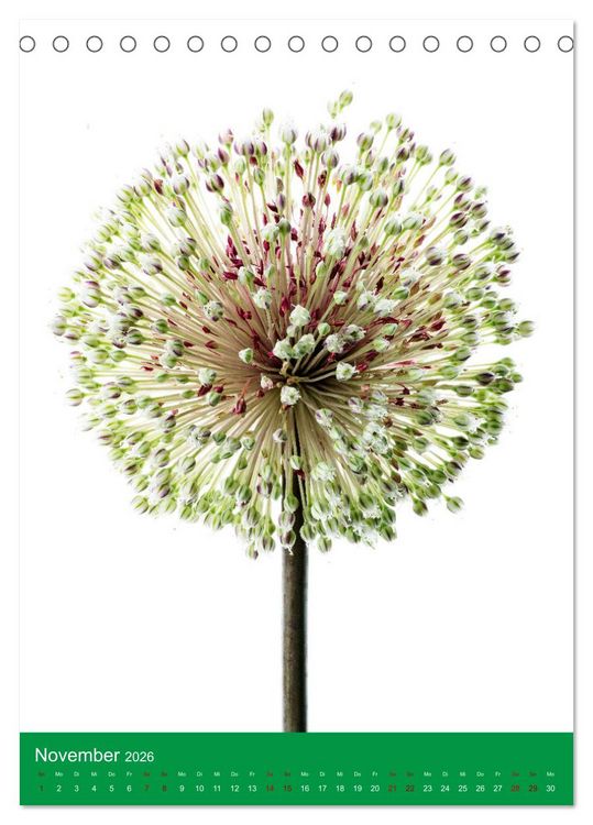 Produktbild: Nat&uuml;rlich Blumen. (Tischkalender 2026 DIN A5 hoch), CALVENDO Monatskalender