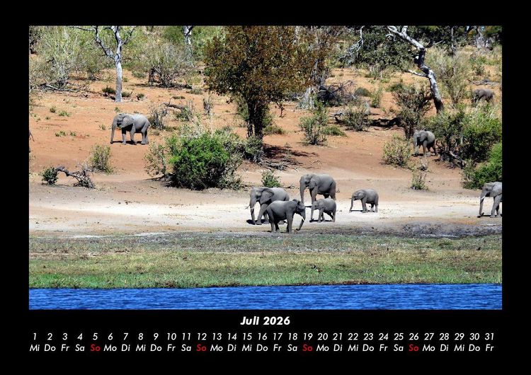 Produktbild: Der Elefantenkalender 2026 Fotokalender DIN A3