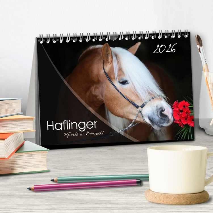 Produktbild: Haflinger-Pferde in Reinzucht (Tischkalender 2026 DIN A5 quer), CALVENDO Monatskalender