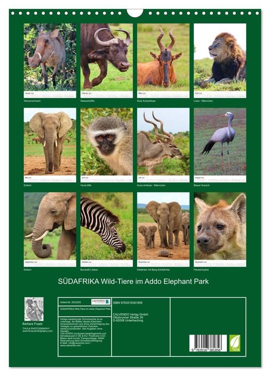 Produktbild: S&Uuml;DAFRIKA Wild-Tiere im Addo Elephant Park (Wandkalender 2026 DIN A3 hoch), CALVENDO Monatskalender