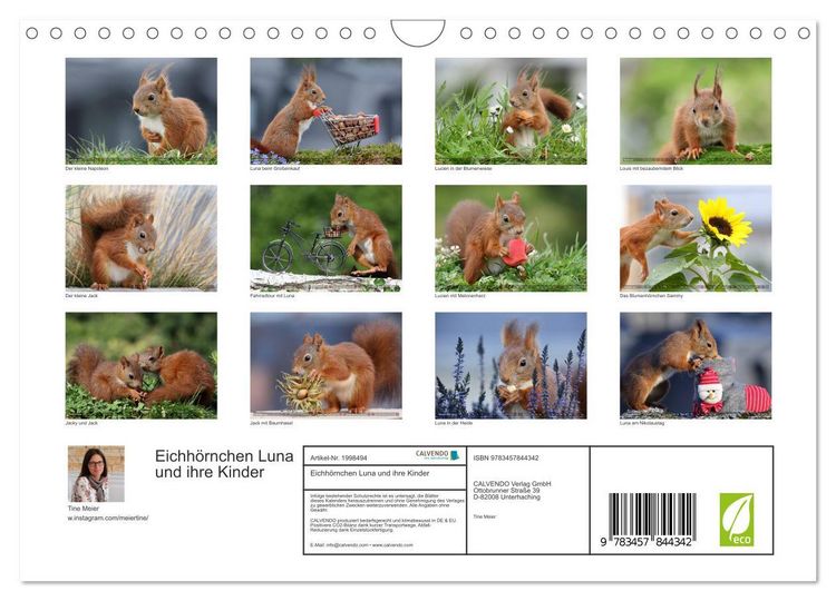 Produktbild: Eichh&ouml;rnchen Luna und ihre Kinder (Wandkalender 2026 DIN A4 quer), CALVENDO Monatskalender