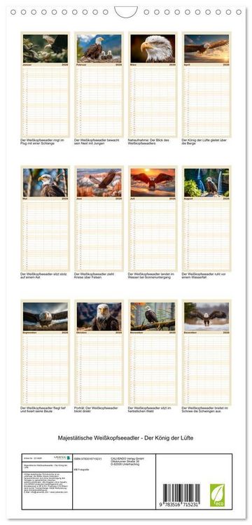 Produktbild: Familienplaner 2026 - Majest&auml;tische Wei&szlig;kopfseeadler - Der K&ouml;nig der L&uuml;fte mit 5 Spalten (Wandkalender, 21 x 45 cm) CALVENDO