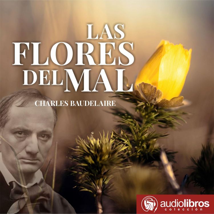 Produktbild: Las flores del mal