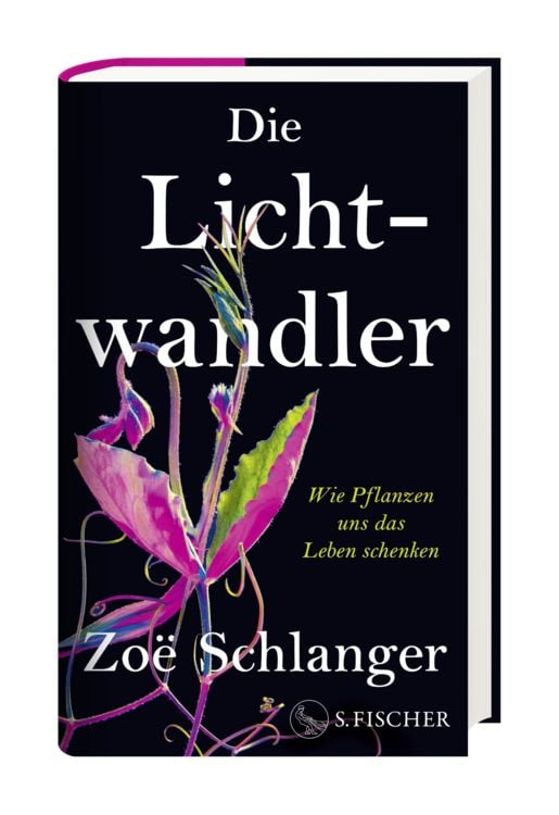 Produktbild: Die Lichtwandler