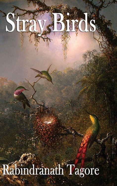 Produktbild: Stray Birds