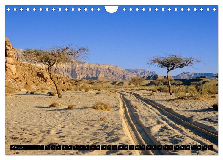 Produktbild: Sinai - Landschaft aus Fels und Sand (Wandkalender 2026 DIN A4 quer), CALVENDO Monatskalender