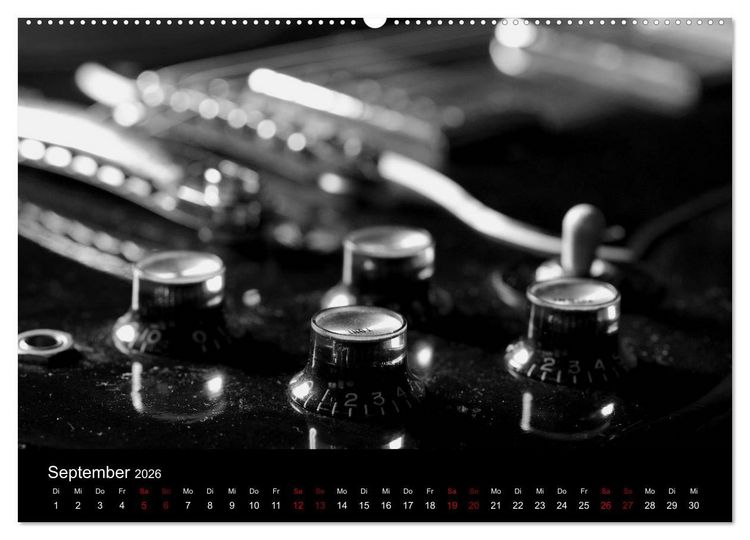 Produktbild: Regelwerke - Details alter E-Gitarren (hochwertiger Premium Wandkalender 2026 DIN A2 quer), Kunstdruck in Hochglanz
