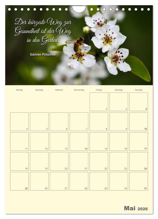 Produktbild: Gartenliebe (Wandkalender 2026 DIN A4 hoch), CALVENDO Monatskalender