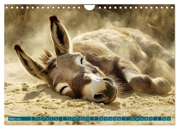 Produktbild: Plitsch, Platsch, tierisch nass (Wandkalender 2026 DIN A4 quer), CALVENDO Monatskalender