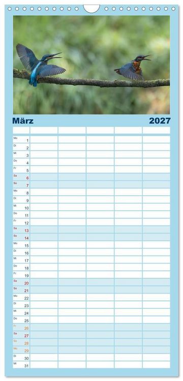 Produktbild: Familienplaner 2027 - Alcedo atthis. Der Eisvogel mit 5 Spalten (Wandkalender, 21 x 45 cm) CALVENDO