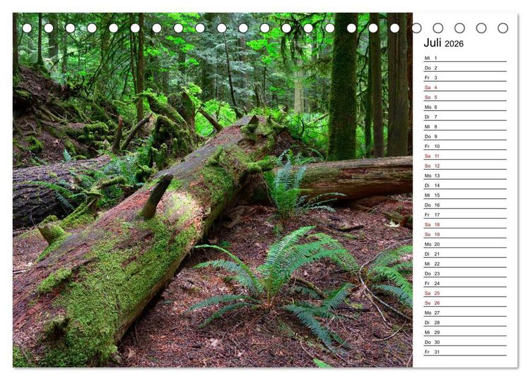 Produktbild: Vancouver Island - Perle im Kanadischen Westen (Tischkalender 2026 DIN A5 quer), CALVENDO Monatskalender