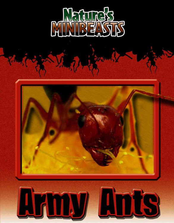 Produktbild: Army Ants