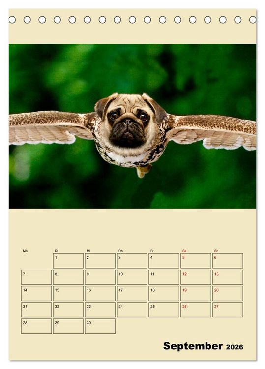 Produktbild: Seltsame Tiere - da stimmt doch was nicht... (Tischkalender 2026 DIN A5 hoch), CALVENDO Monatskalender