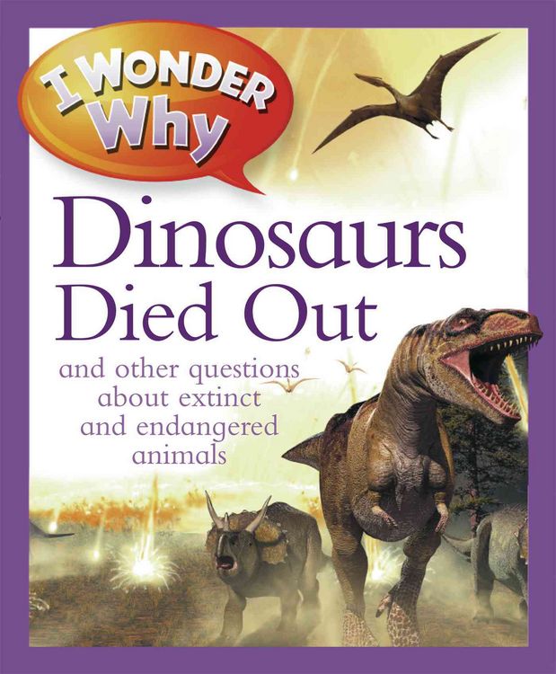 Produktbild: I Wonder Why The Dinosaurs die