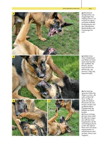 Produktbild: Ausdrucksverhalten beim Hund
