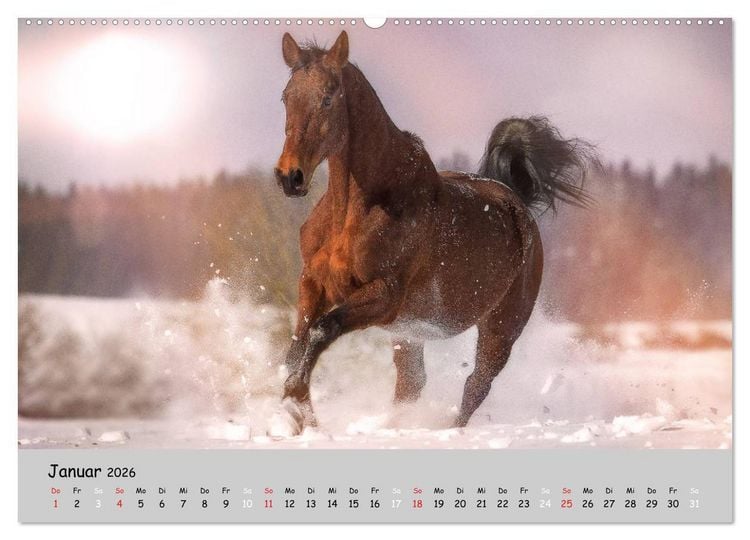 Produktbild: Pferde - Anmut und St&auml;rke gepaart mit Magie (Wandkalender 2026 DIN A2 quer), CALVENDO Monatskalender