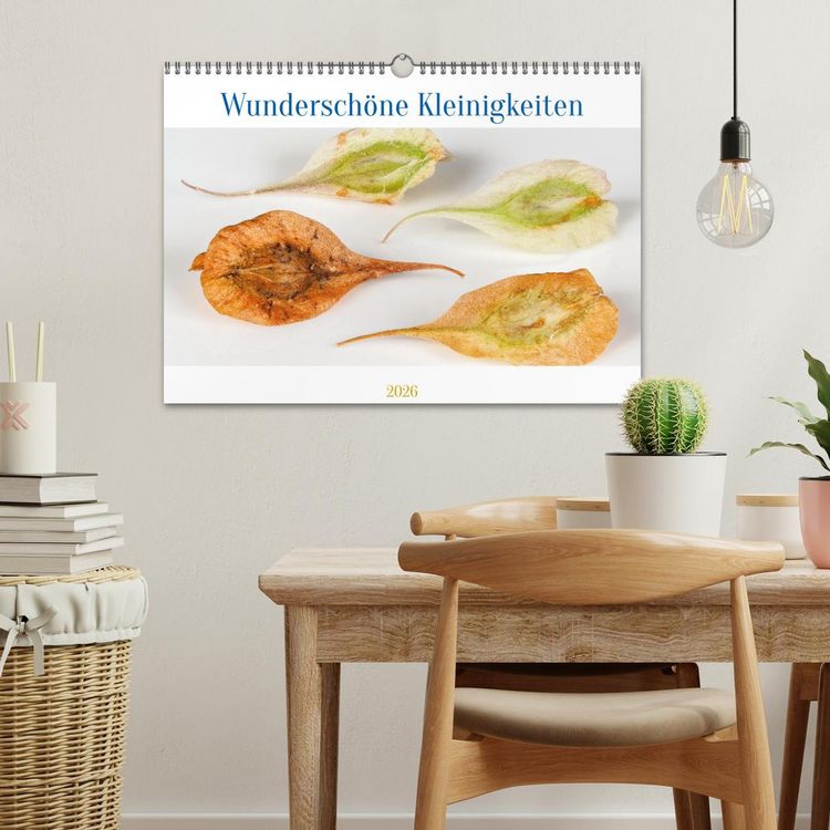 Produktbild: Wundersch&ouml;ne Kleinigkeiten (Wandkalender 2026 DIN A3 quer), CALVENDO Monatskalender