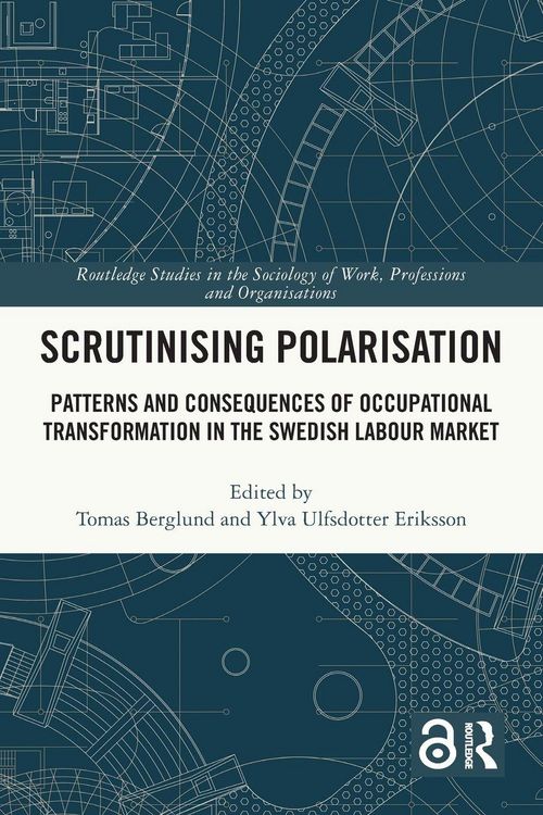 Produktbild: Scrutinising Polarisation