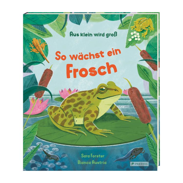 Produktbild: Aus klein wird gro&szlig;. So w&auml;chst ein Frosch