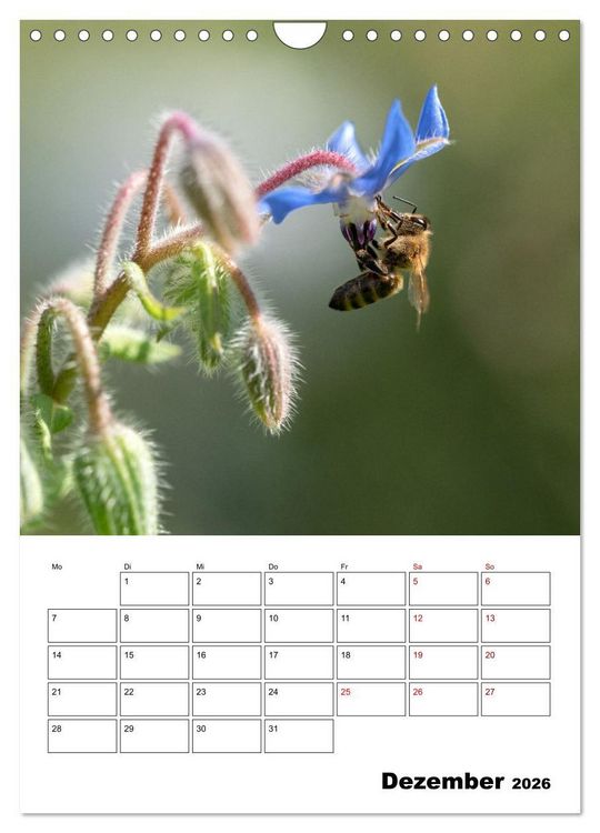 Produktbild: Hummeln und Bienen Terminplaner (Wandkalender 2026 DIN A4 hoch), CALVENDO Monatskalender