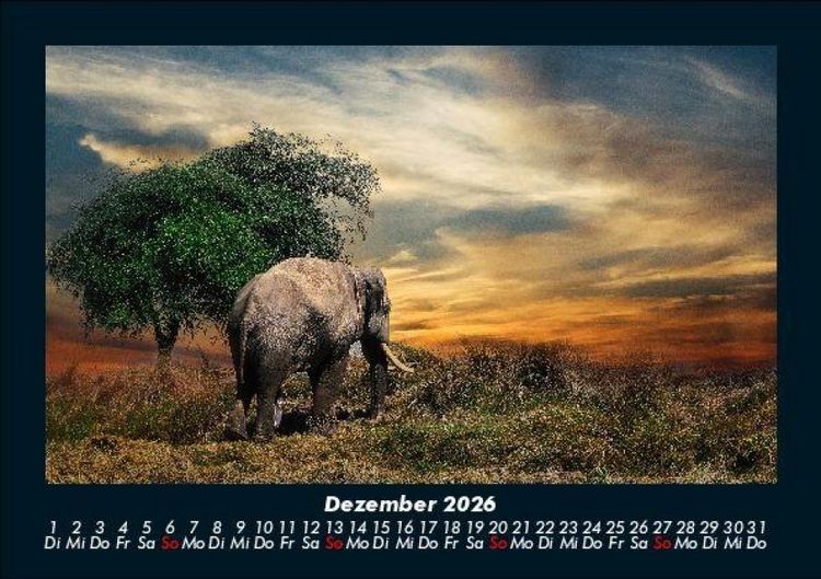 Produktbild: Der Elefantenkalender 2026 Fotokalender DIN A5
