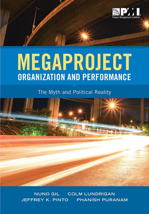 Produktbild: Megaproject Organization and Performance