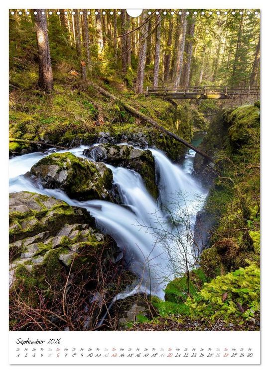 Produktbild: Weltnaturerbe Olympic National Park (Wandkalender 2026 DIN A3 hoch), CALVENDO Monatskalender