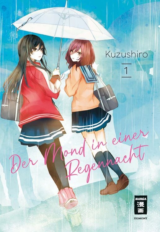 Produktbild: Der Mond in einer Regennacht 01