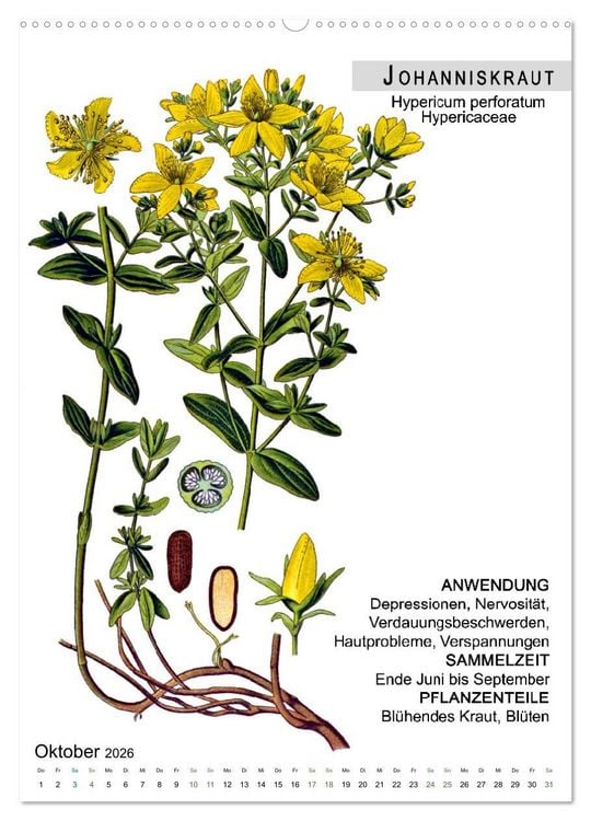Produktbild: Heilpflanzen (Wandkalender 2026 DIN A2 hoch), CALVENDO Monatskalender