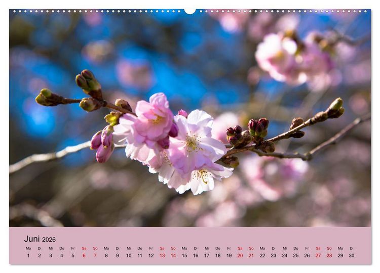 Produktbild: Kurpark Baden-Baden (Wandkalender 2026 DIN A2 quer), CALVENDO Monatskalender