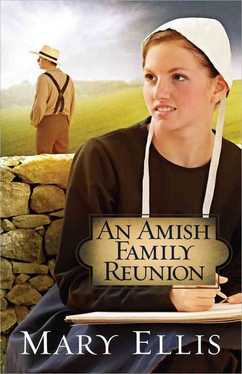 Produktbild: Amish Family Reunion