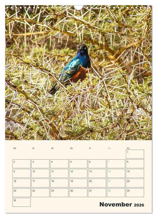 Produktbild: Kenia &ndash; Terminplaner (Wandkalender 2026 DIN A3 hoch), CALVENDO Monatskalender