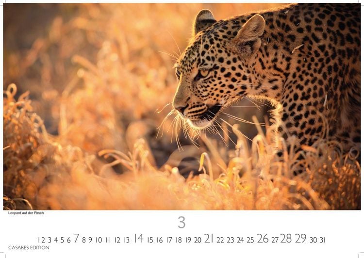 Produktbild: S&uuml;dafrika Kalender 2027 &ndash; Wandkalender | Fotokalender Afrika 24x35 cm - . mit atemberaubenden Natur- und Tierkalenderaufnahmen.