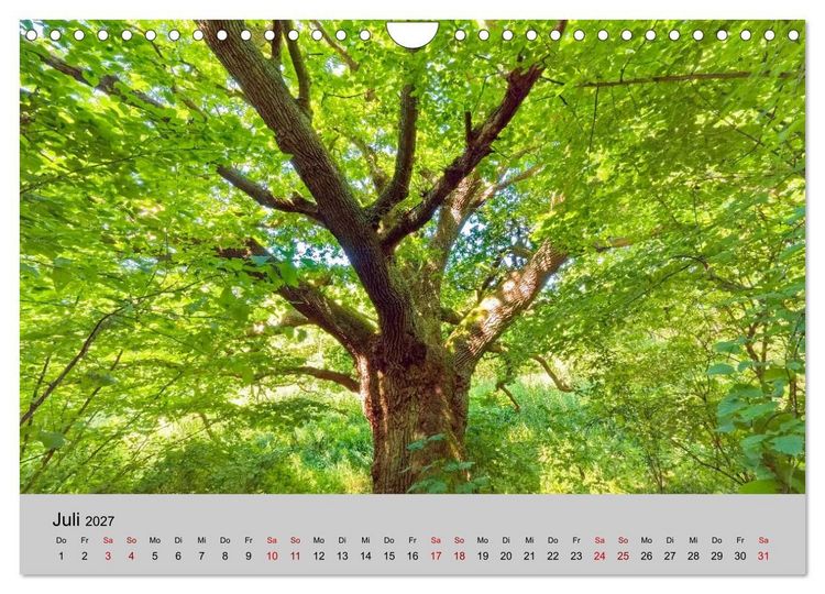 Produktbild: Biosph&auml;renreservat Schaalsee (Wandkalender 2027 DIN A4 quer), CALVENDO Monatskalender