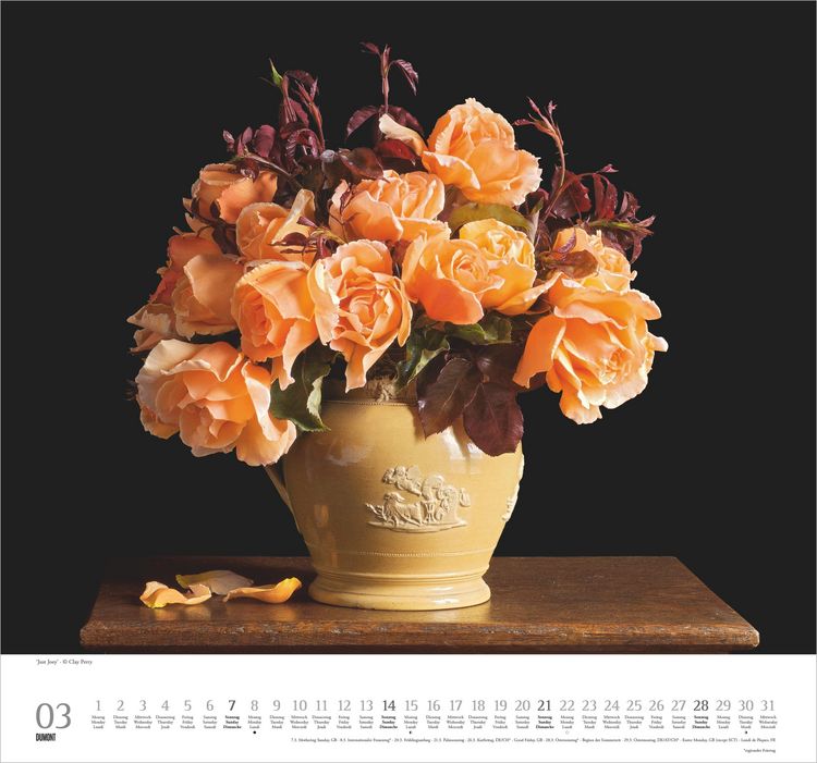 Produktbild: Geliebte Rosen 2027