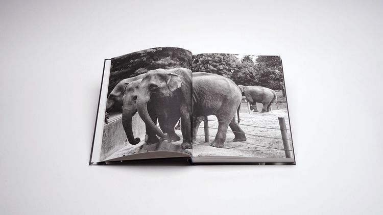 Produktbild: Markus Vater &ndash; Objects of Significance