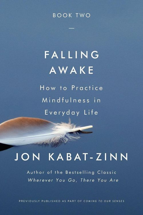 Produktbild: Falling Awake