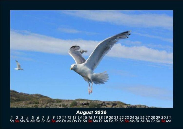 Produktbild: Nordsee 2026 Fotokalender DIN A5